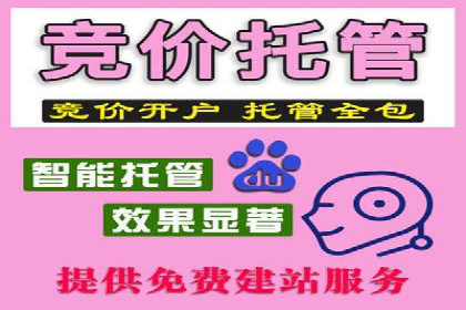 百度竞价广告在电商行业的应用及效果展示